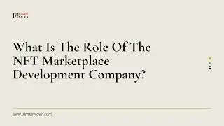 What Is The Role Of The NFT Marketplace Development Company?