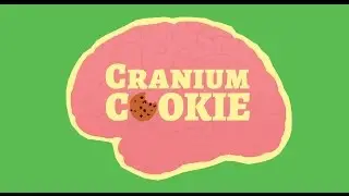 Cranium Cookie: Award Winning Edu-tastic Web Series