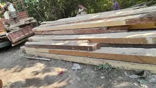 Burmateakwood bim and takta supplies in kolkata/New stock available of bim,takta and other products 