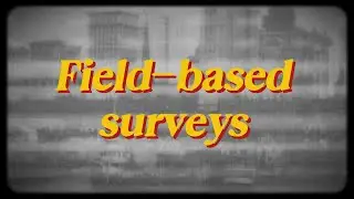 The Value of Field-Based Socio-Political Surveys