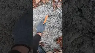 Metal Detecting The Woods For Treasure & Found This! #shorts #metaldetecting