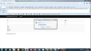 Web For Pentester SQL Injection Example 5 Solution