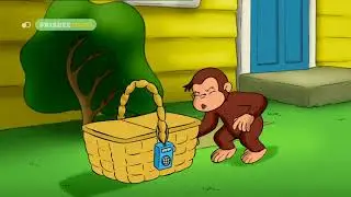 Curioso come George - George e la puzzola
