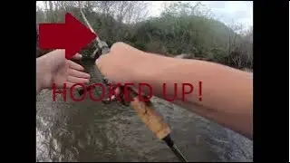 MOST EPIC AFTERNOON OF TROUT FISHING! Pinched Crawler Seals the Deal!