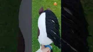 deze teugels en halstertouwen kun je kopen  😍😍