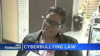 Cyberbullying law