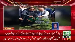 CM Punjab inaugurates tree plantation campaign in 7 club