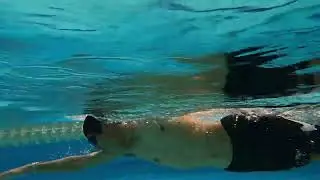 20251125横浜国際プール　横鉄メンバーフォーム　クロール