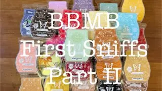 January 2024 BBMB First Sniffs Part II