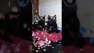 being cool/ party