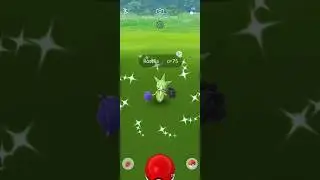 Getting Unlucky With ✨Shiny Roselia in #pokemongo