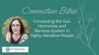 Connection Bites: Connecting the Gut, Hormones and Nervous System in Highly Sensitive People