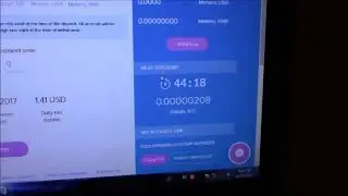 Bitpetite Scam or not Day 2 Update