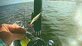 Spanish Mackerel on Artificial Lures Trolling Fishing Oak Island NC