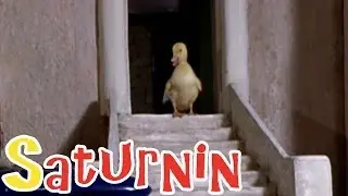 Saturnin - L'héritage de saturnin