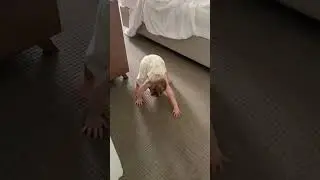 Toddler Practices Horror-Crawling