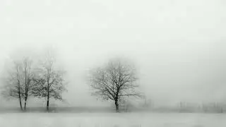 Dark Monastery Meditation