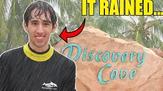 I Went To Discovery Cove and It Rained All Day