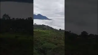 Kerala munnar WhatsApp status Kerala munnar munnar tursti place tursti place munnar Kerala