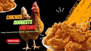 Inside a Modern Chicken Nugget Factory: Full Production from Farm to Golden Crispy Nuggets