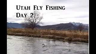 Utah Fly Fishing for Trout- Day 2
