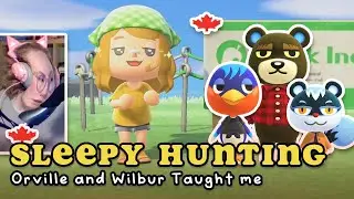 30 NMT Sleepy Villager Hunt &mdash; Animal Crossing New Horizons