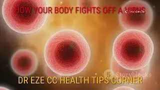 HOW YOUR BODY FIGHTS OFF VIRUS 2025 07 01 01 36 18 894