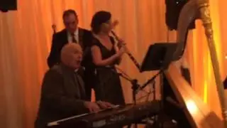 Al Snyder. Make You Feel My Love.