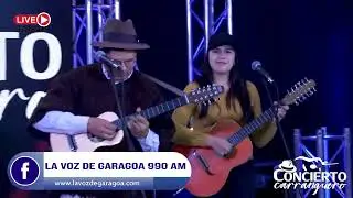 La vida del Chofer - Abinael Amado y Su Grupo Do Mayor | Concierto Carranguero | Show Musical