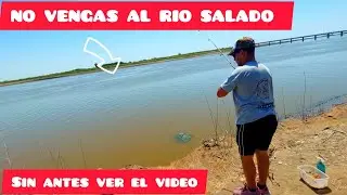 // RIO SALADO // !!puente el destino no vas a poder creer la cantidad de PECES QU&Eacute;  hay 01/ 2026 !!!