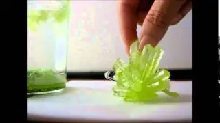 マジッククリスタル 10日で育つ不思議なクリスタル Magic Crystal