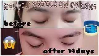 How to Grow Your Eyebrows and Eyelashes Naturally || VASELINE REALTALK