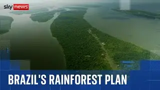 Brazil 'surprised' UK not investing in new rainforest fund it helped design
