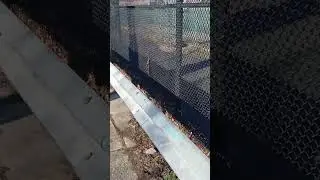A PHA M2 Freightliner Newway Rear loader trash truck picking up trash 