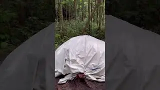 EAGLE INIPI CEREMONY東京青梅市