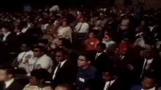 Black Panthers: Vanguard of the Revolution
