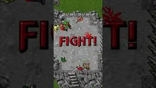 Orc Berserker vs Dwarf Guard | Tibia Monster Fights #tibia #fights #oldtibia #games