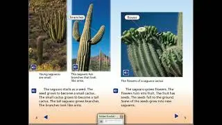 How to learn English ... Read and Listen ( English stories ) Level 2 The Saguaro Cactus