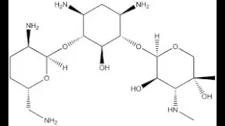 Gentamicin; Chemical name, Molecular Formula, Molar mass, Chemical Structure