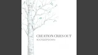 Creation Cries Out (Live)