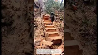 The Moment a Fallen Tree Becomes a Staircase #craftsman #craft
