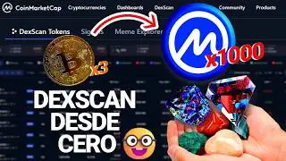DexScan en CoinMarketCap | Gu&iacute;a completa en Espa&ntilde;ol