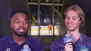 BEARS, BLADES, BATTLE AT THE SWAMP| PRE GAME SHOW 11-08-24