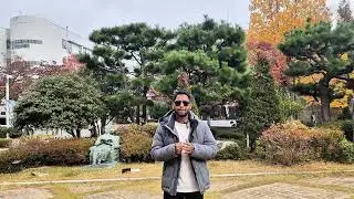 TOPIK না IELTS — কোরিয়াতে পড়তে চাইলে কোনটা জরুরি ? South Korea Admission Secret !! 🇰🇷🎓🔥