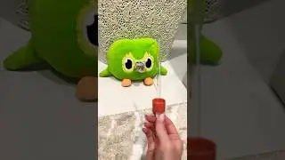 His &ldquo;experiment&rdquo; nearly broke the house #Duolingo #DIYFail #Chaos