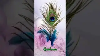 #Load krishna #mayilpeeli #Whatsapp #status #goodmorning #flute #ringtone