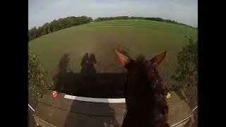 SGW Bathmen 2022 klasse L Jaranga (Indorado X Harley VDL)