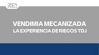 Vendimia 2024: Innovaci&oacute;n y eficiencia en cada racimo