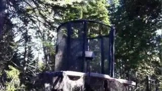 Cool Deer Stand