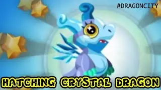 HATCHING CRYSTAL DRAGON IN DRAGON CITY...